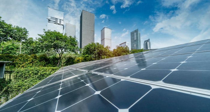 What Is Sustainable Development?